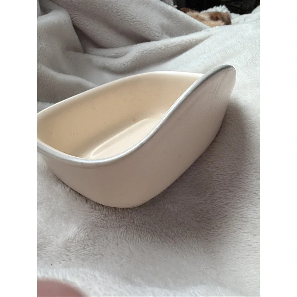 Rare Vintage Pfaltzgraff Remembrance  Soap /Scouring Pad Dish